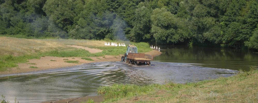 Фотография Паниковца
