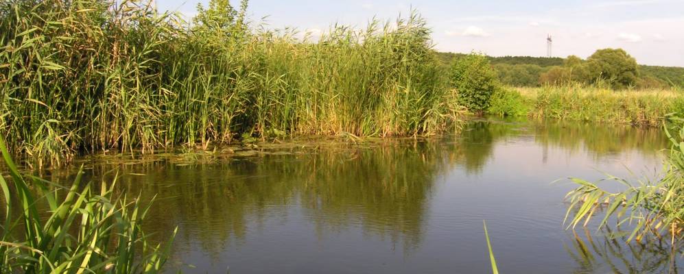 
            Фотография Машкино