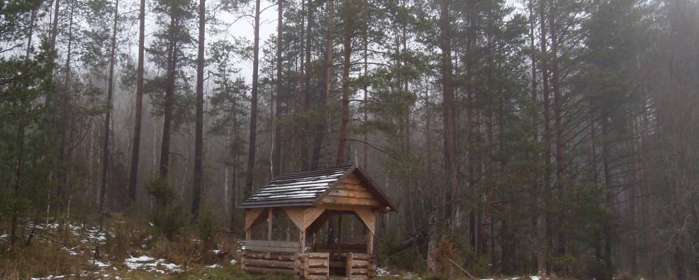 
            Фотография Селятино