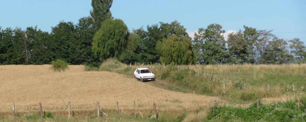 
            Фотография Коюэко