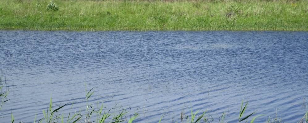 Фотография Лихачей