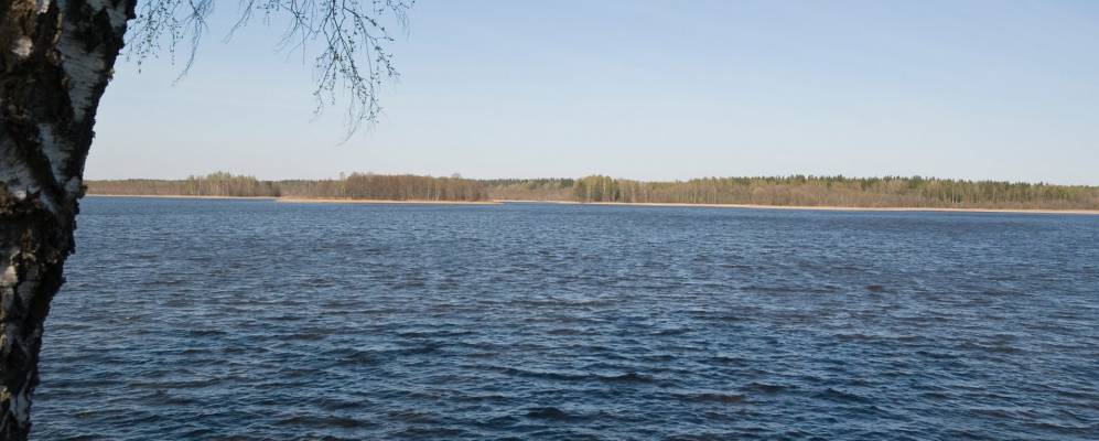 Фотография Залеcья