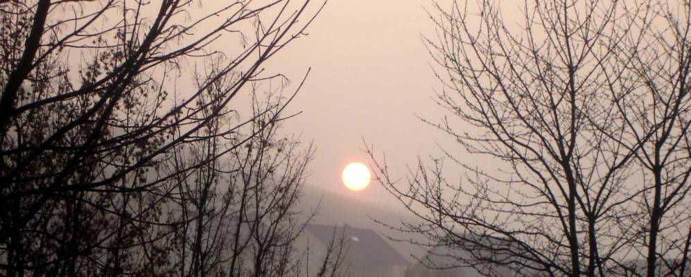 
            Фотография Осанна