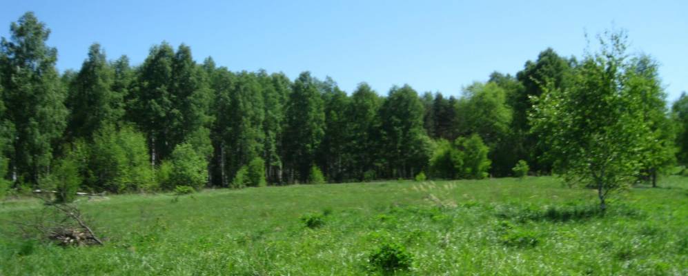 
            Фотография Харламово