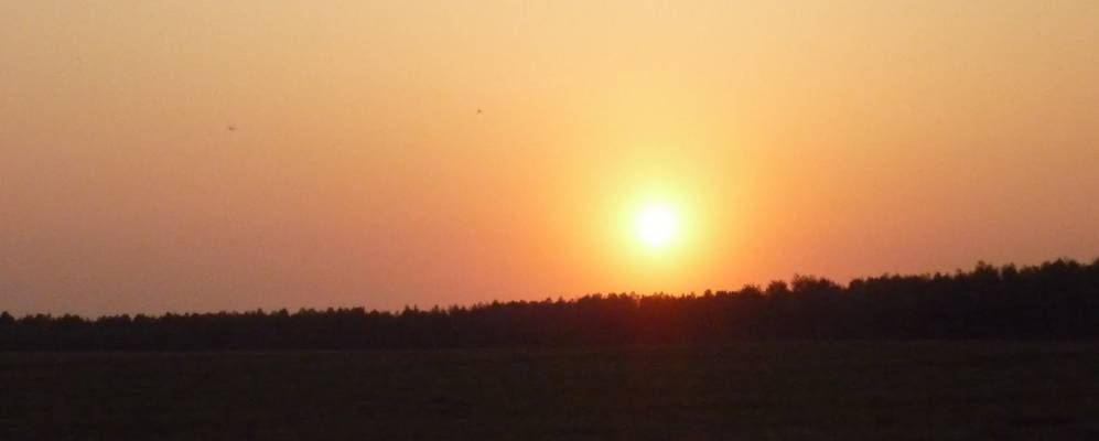 
            Фотография Погатихи