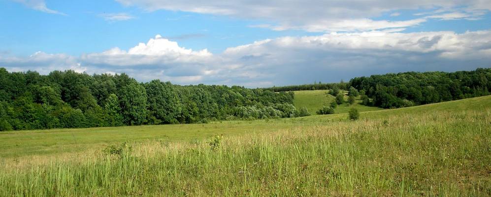 
            Фотография Вертячьего