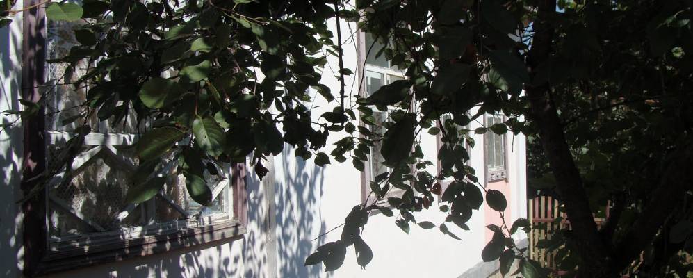 
            Фотография Гринево