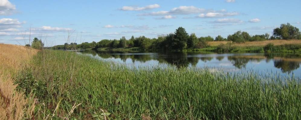 Фотография Галика