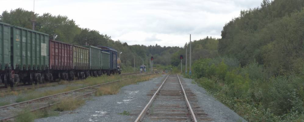 
            Фотография Тюленей