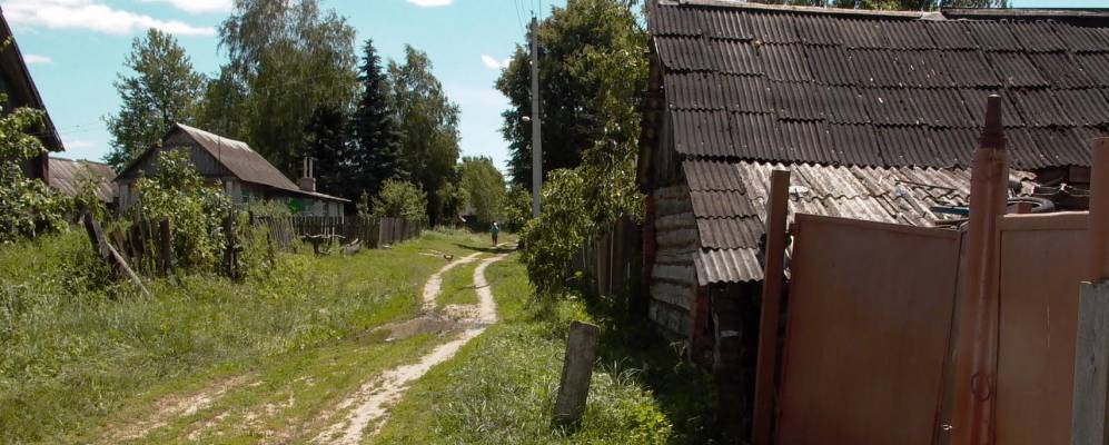 
            Фотография Робчика