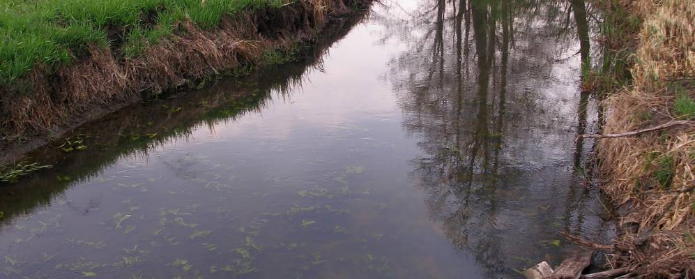 
            Фотография Федоровки