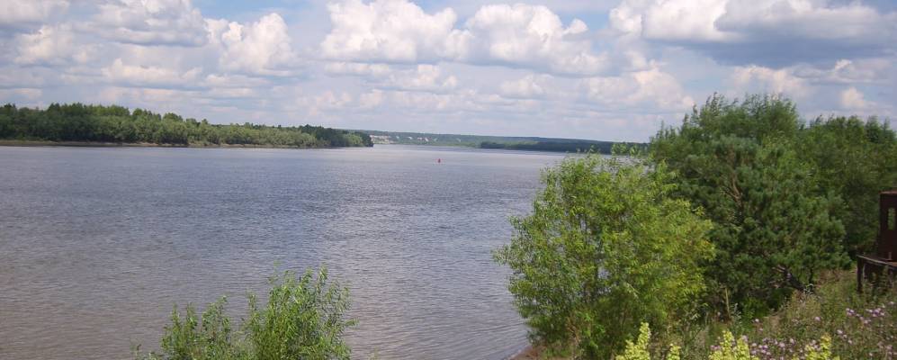 
            Фотография Крапивы