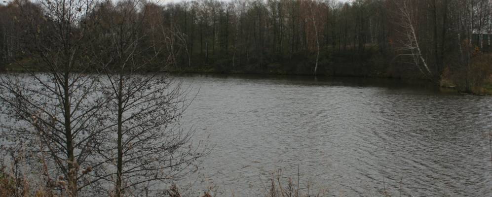 
            Фотография Купчинино