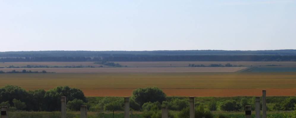 
            Фотография Фединской