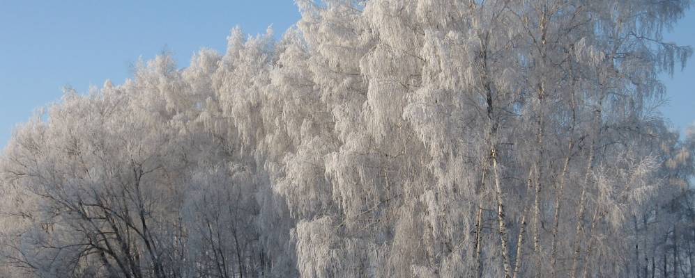 Фотография Ломовки