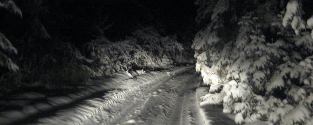 Фотография Полибино