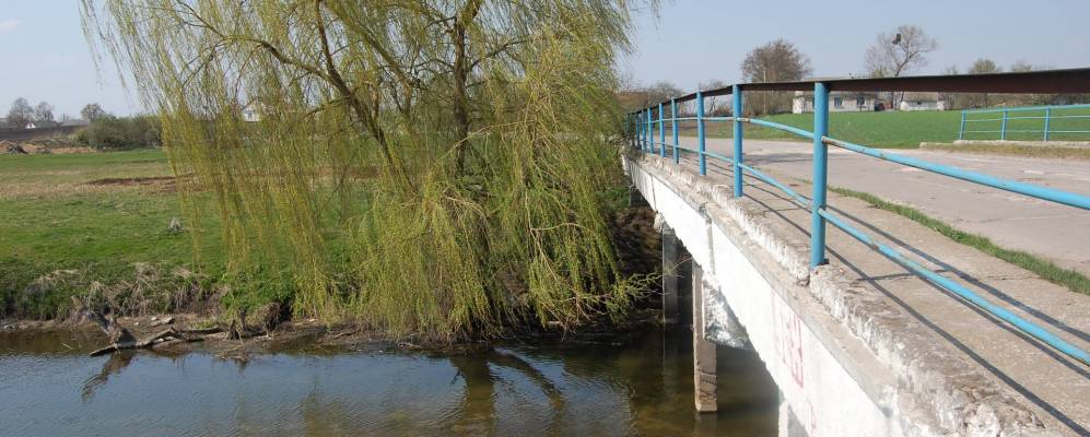 
            Фотография Вишневого