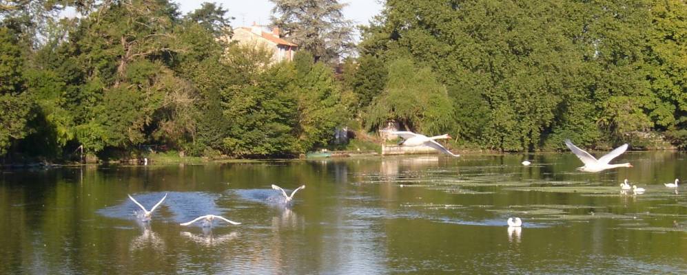 
            Фотография Маньяк-сюр-Тувра