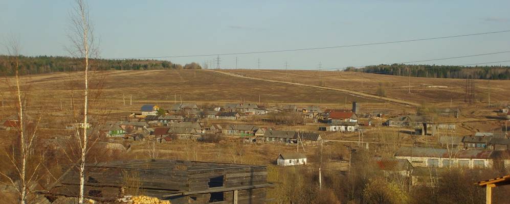 
            Фотография Рассох