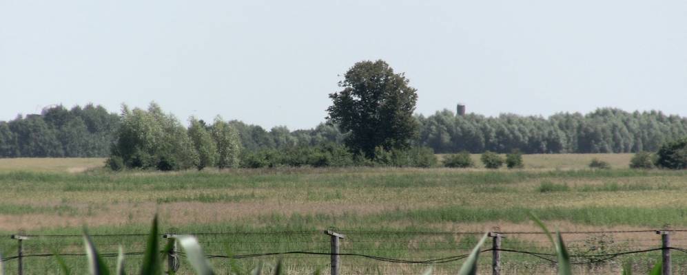 
            Фотография Некрасово