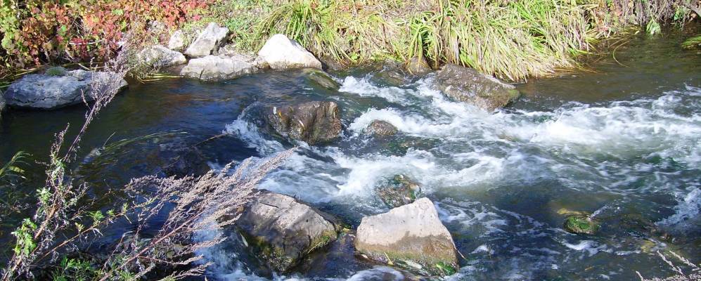 
            Фотография Марьевки