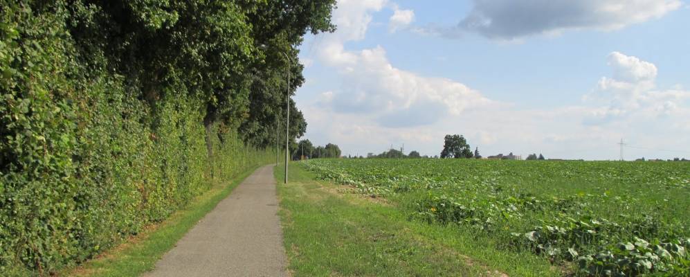 
            Фотография Кандель