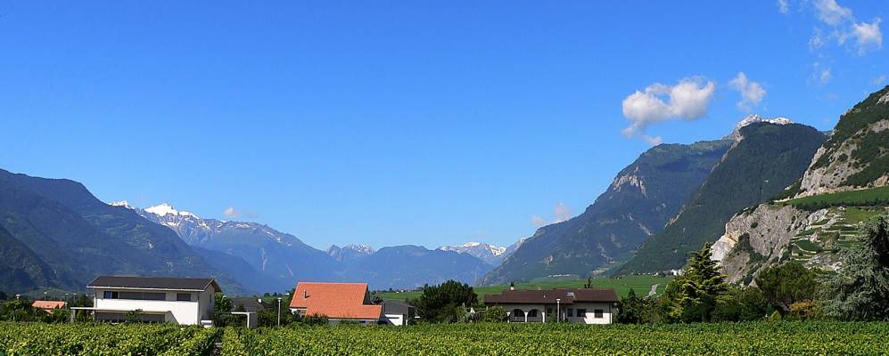 
            Фотография Лейтрона