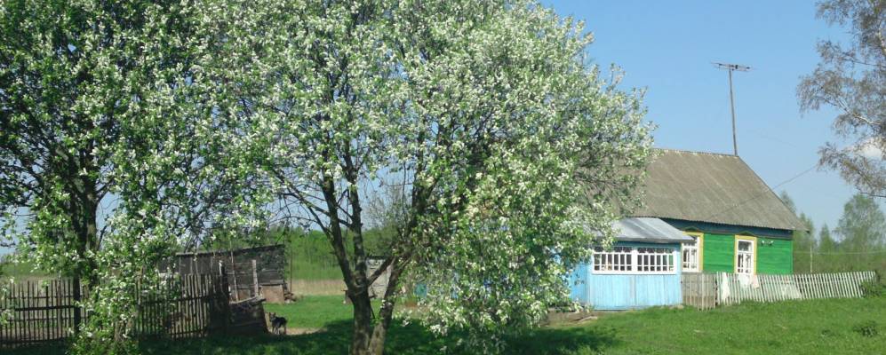 
            Фотография Тепенино