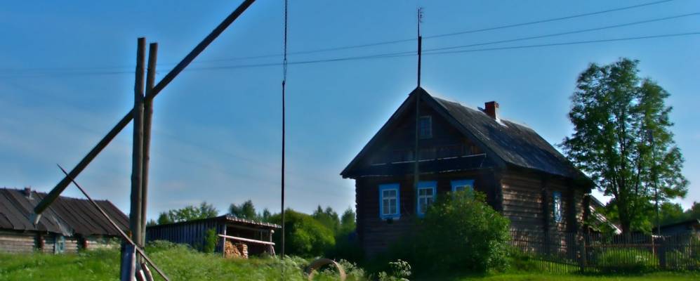 
            Фотография Новинки