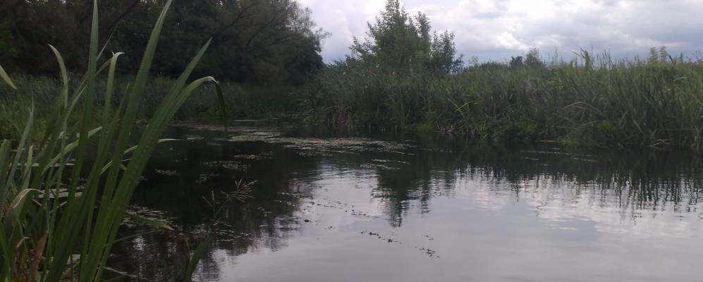 
            Фотография Ржевки