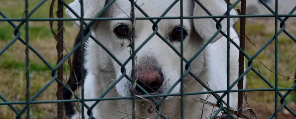 
            Фотография Озио-Сотто