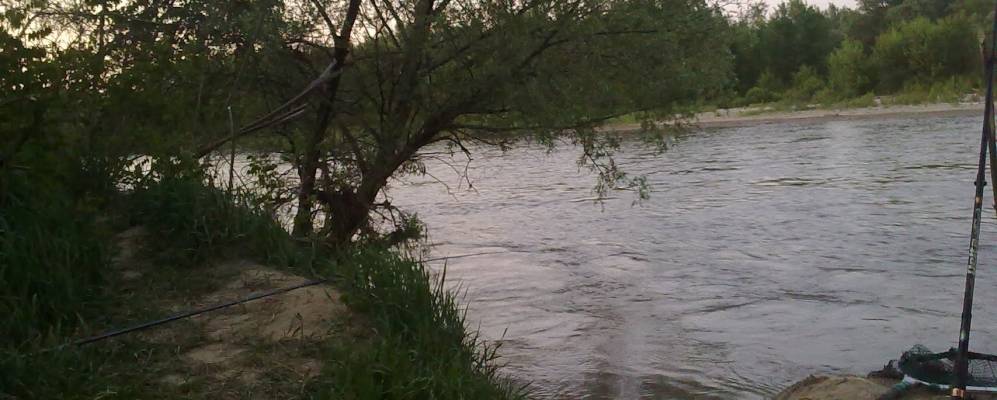 
            Фотография Комсомольского