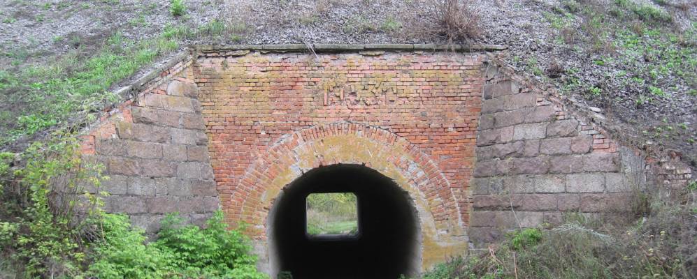 
            Фотография Лысовщины