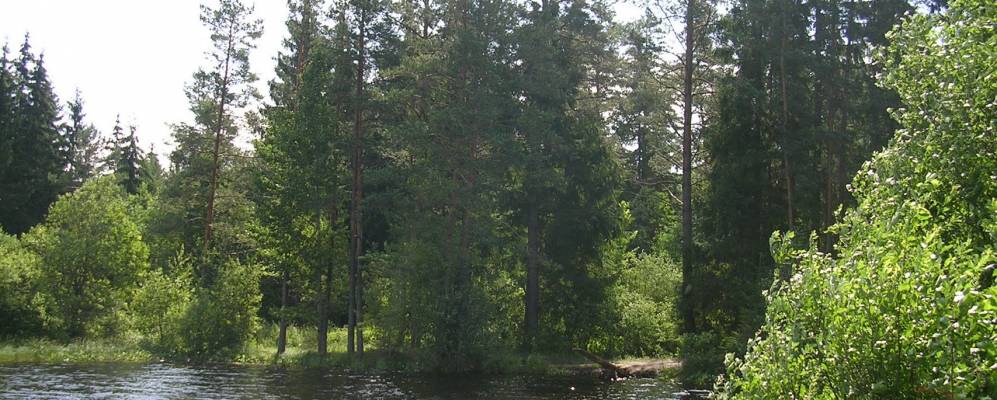 Фотография Полянов