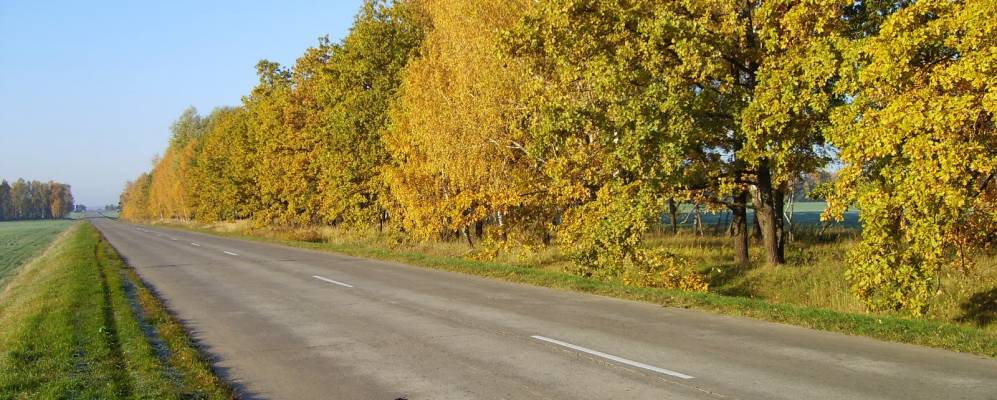 Фотография Кавелино