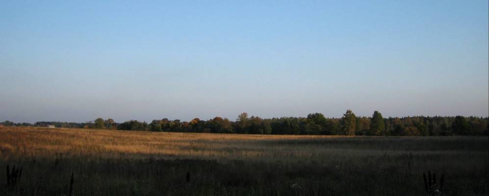 
            Фотография Старожёлтиково