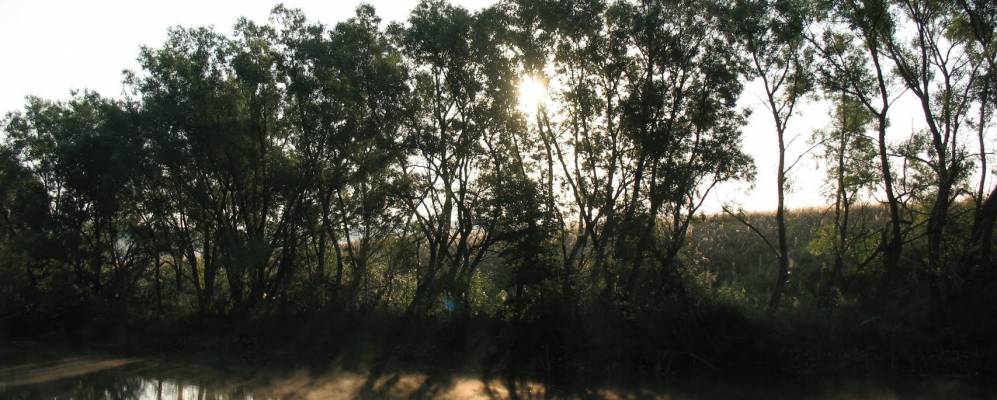 
            Фотография Бортников