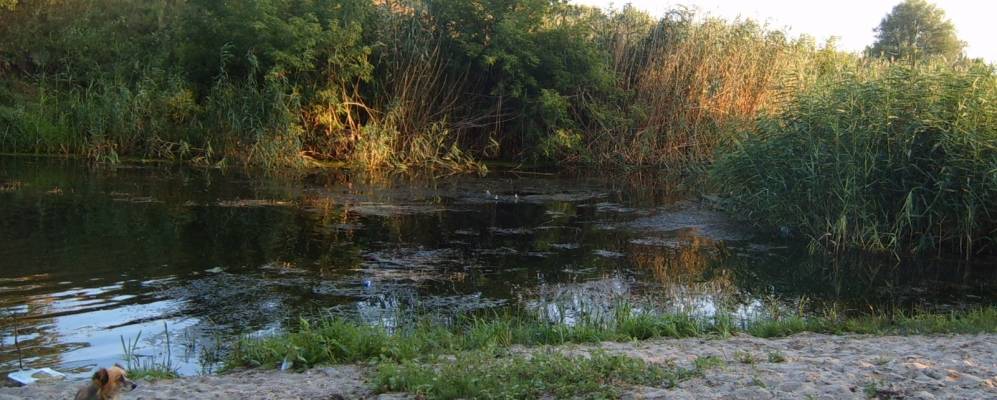 
            Фотография Лялинского