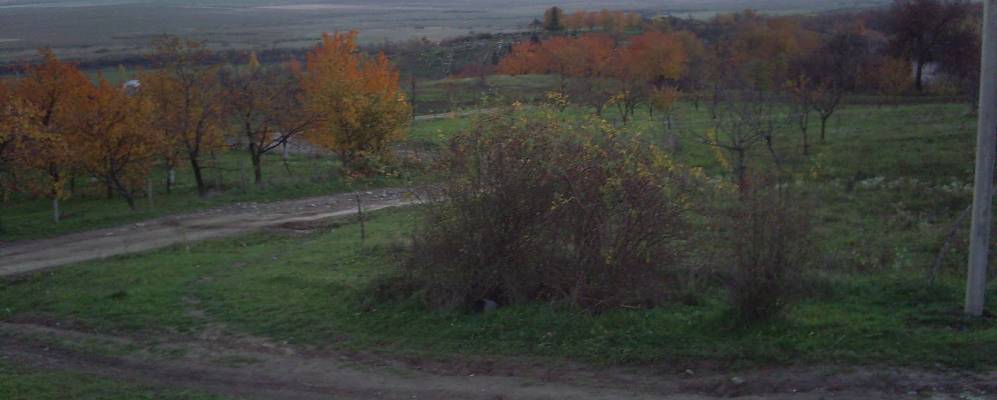 
            Фотография Окли Гедя