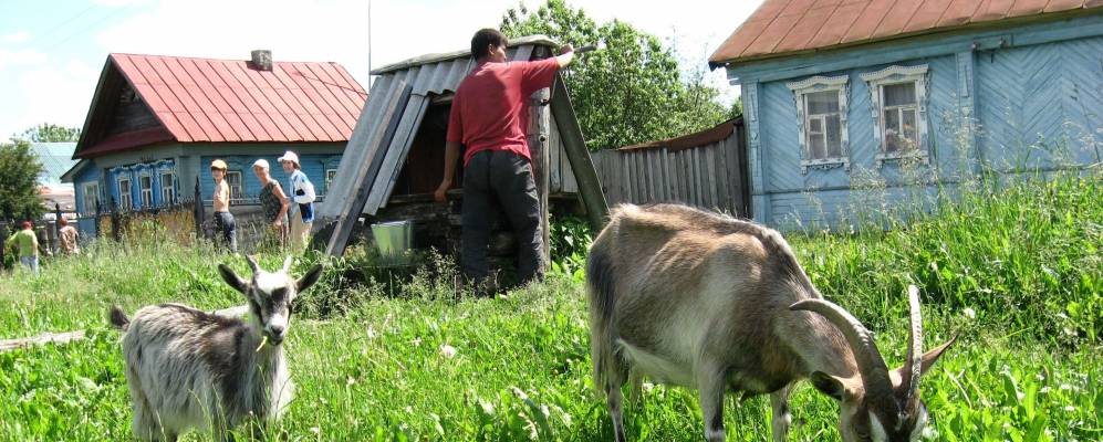 
            Фотография Щелканово