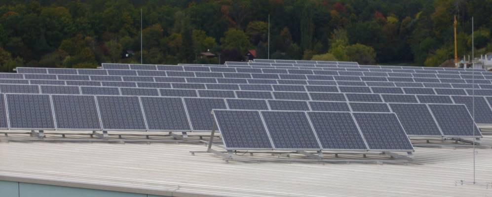 
            Фотография Фройденталь