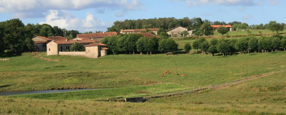 
            Фотография Рузед