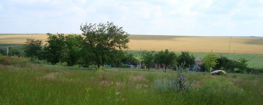 
            Фотография Новые Буторы