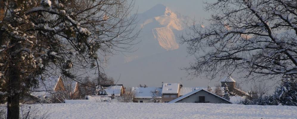 
            Фотография Орнекса