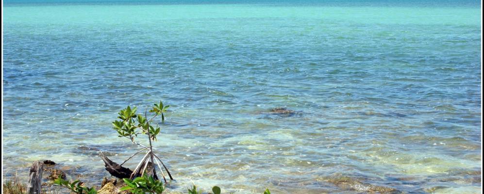 
            Фотография Раудалеса