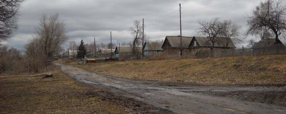 Фотография Шепетлевы