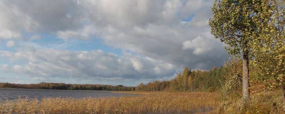 
            Фотография Апалево