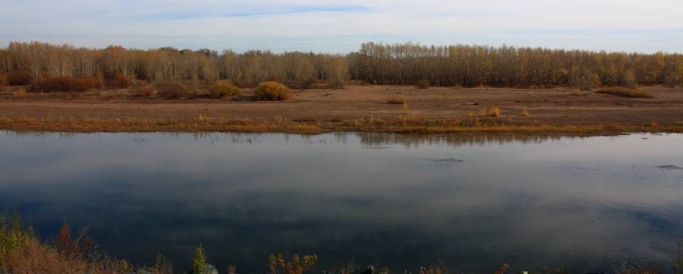 
            Фотография Плодопитомника