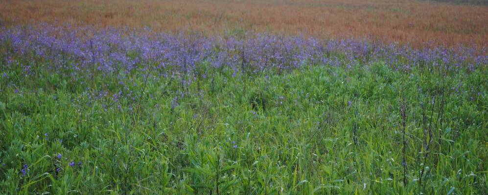 Фотография Кокових