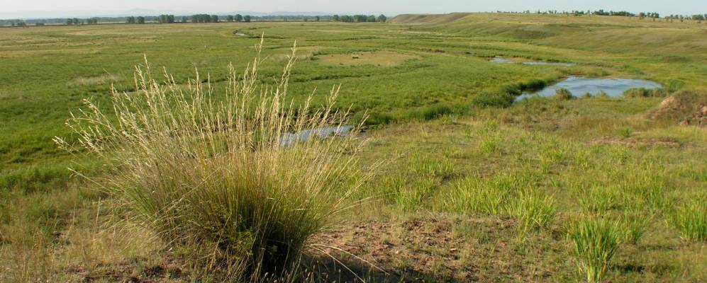 
            Фотография Аршанова